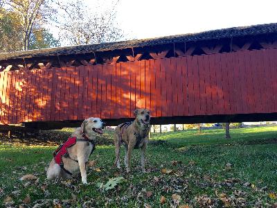 Pawcast Podcast #29 Iowa Pawcast Podcast #29 Iowa