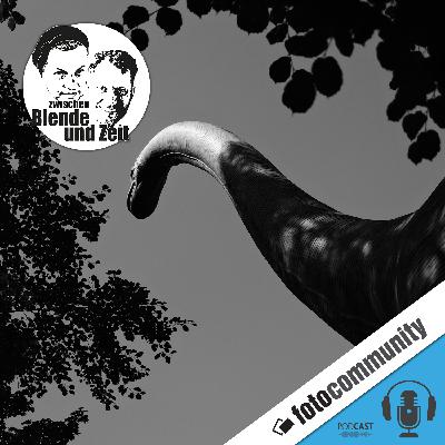 404 - Lars und Falk beantworten Eure Fragen!