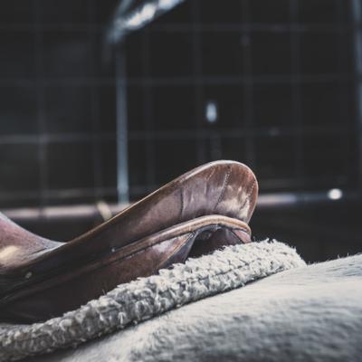 Saddles, saddle fit and the number one cause of back pain in horses.