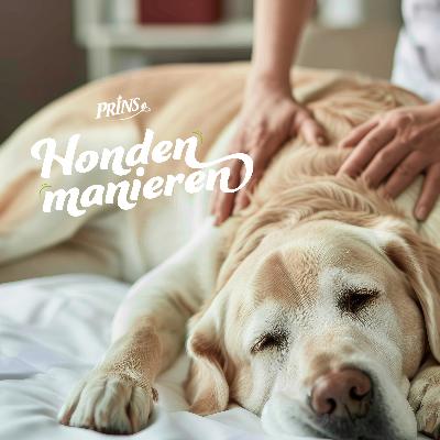 Afl. 18: Het verhaal achter de kwispel, Praktijkcases van een hondenosteopaat