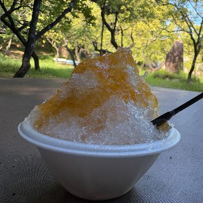 やほじん通信Vol.5