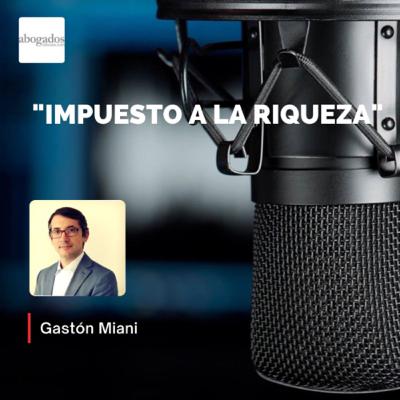 “Impuesto a la riqueza”: Gastón Miani