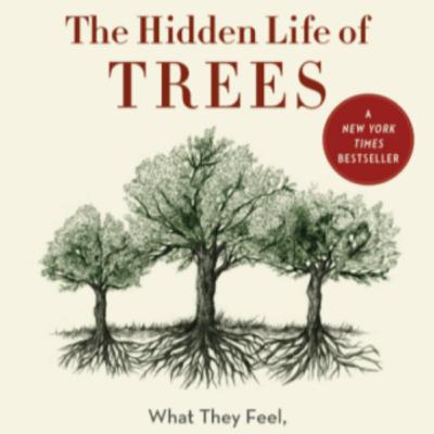 Book 3 -Hidden Life of Trees - Nolosha Dahsoon ee Geedaha