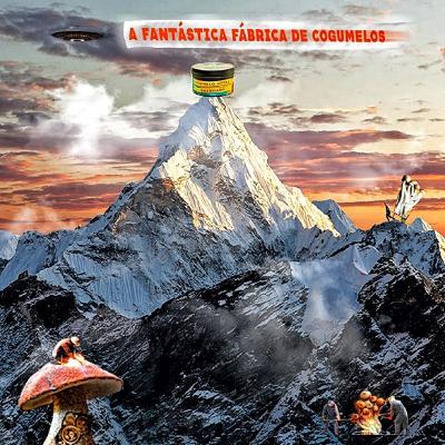 #4 Cogumelado no Everest #4 Cogumelado no Everest