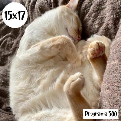 s15e17: Programa 500 s15e17: Programa 500