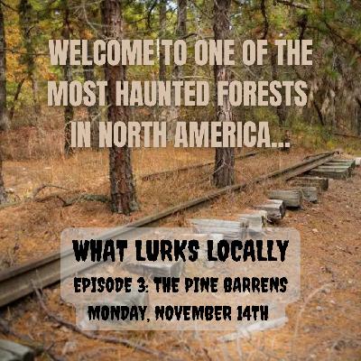 The Pine Barrens The Pine Barrens