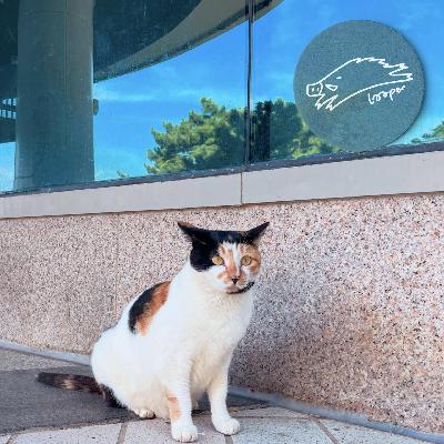 秋千搂着Mixtape在葡萄园左摇右晃 秋千搂着Mixtape在葡萄园左摇右晃