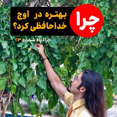 چراگاه۱۳- چرا بهتره در اوج خداحافظی کرد؟