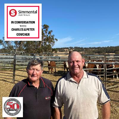 The passing on of the Simmental passion with Charles and Peter Cowcher