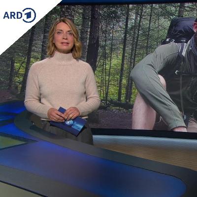 tagesthemen 22:45 Uhr, 25.01.2026