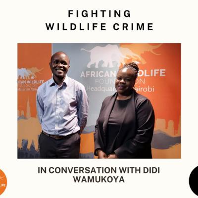 Fighting Wildlife Crime With Didi Wamukoya