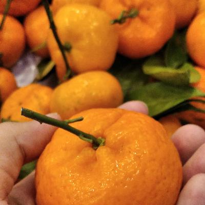 Akhlak dan problematika kontemporer