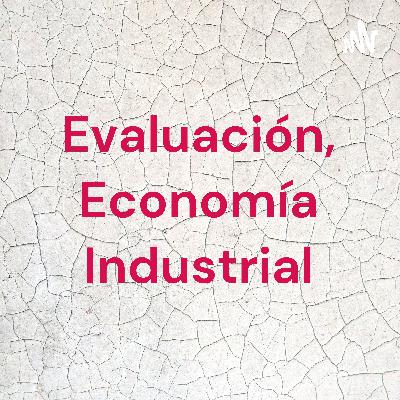 Evaluación Final, Economía Industrial