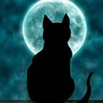 Đồi thỏ (Richard Adams) - Phần 1: Cuộc hành trình (7,8)