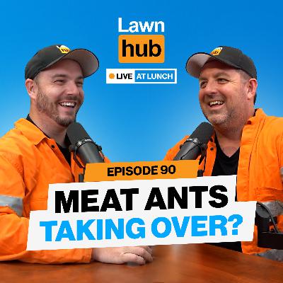 Meat Ants Are Taking Over? ! | Lawnhub Live EP90