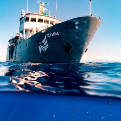 Difendere il mare oggi "Sea Shepherd e l’azione che fa la differenza" Difendere il mare oggi "Sea Shepherd e l’azione che fa la differenza"