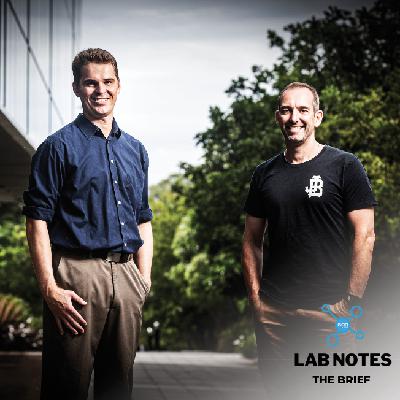 THE BRIEF - Discovery Indigenous and Impact Investing THE BRIEF - Discovery Indigenous and Impact Investing