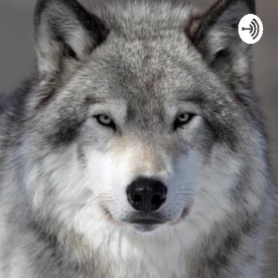 Q & A With Graywolf (Trailer)
