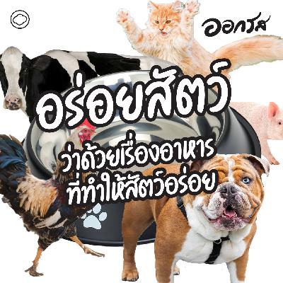 EP. 119 อร่อยสัตว์ ว่าด้วยเรื่องอาหารที่ทำให้สัตว์กินอร่อย - The Cloud Podcast