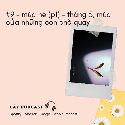 #9 - mùa hè (p1) - tháng 5, mùa của những con chò quay