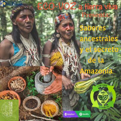 Saberes ancestrales y el secreto de la Amazonía