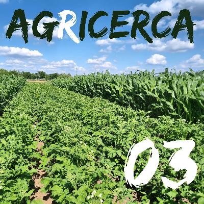 03 - Organismi dannosi e soluzioni biologiche con Margherita Berri 03 - Organismi dannosi e soluzioni biologiche con Margherita Berri