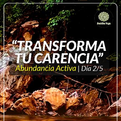 TRANSFORMA TU CARENCIA: Rompe patrones de escasez (2/5).