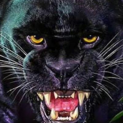 Episódio#10 Seja bem vindo! Episódio#10 Seja bem vindo!