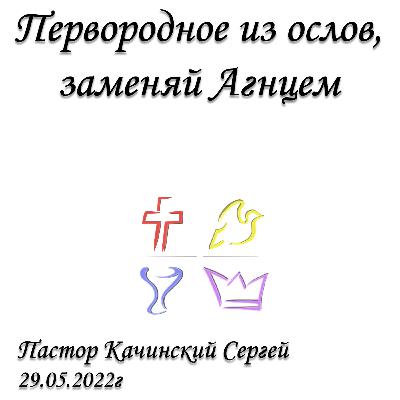 Первородное из ослов, заменяй Агнцем