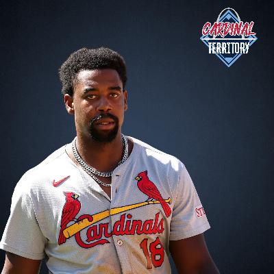 Reactions to WBC finale, no fit for Fitts, are we past crunch time for Jordan Walker? Reactions to WBC finale, no fit for Fitts, are we past crunch time for Jordan Walker?