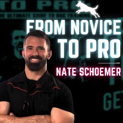 Ep. 29 - From Novice to Pro: Dog Training Q&A with Nate Schoemer