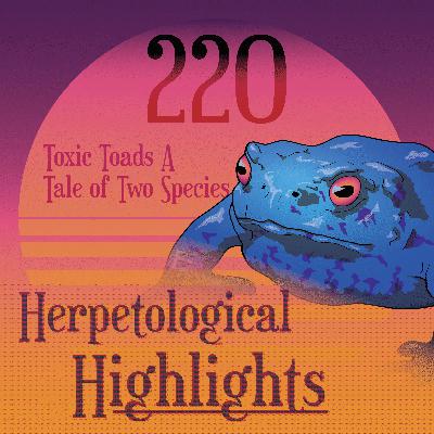 220 Toxic Toads A Tale of Two Species 220 Toxic Toads A Tale of Two Species