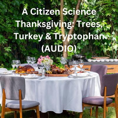 A Citizen Science Thanksgiving: Trees, Turkey and Tryptophan (AUDIO Version) A Citizen Science Thanksgiving: Trees, Turkey and Tryptophan (AUDIO Version)