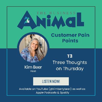 T3: Customer Pain Points T3: Customer Pain Points