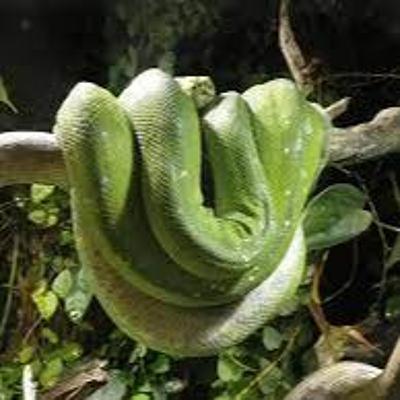 Pastor Potluck Check-In #2 What do we do with desire?