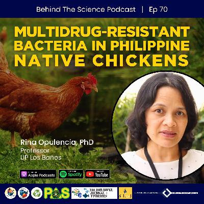 Ep70 - Antibiotic-Resistant Bacteria Found in Native Chickens