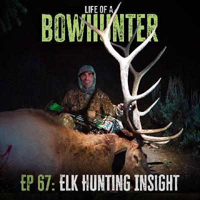 Episode 67:  Elk Hunting Insight