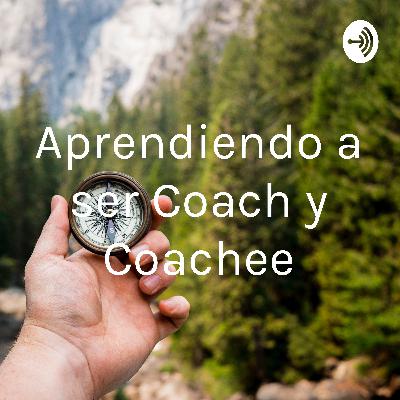 Base para implementar Coaching