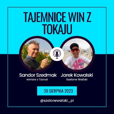 Sekrety win z Tokaju - opowiada po polsku winiarz z Szedmak Borhaz