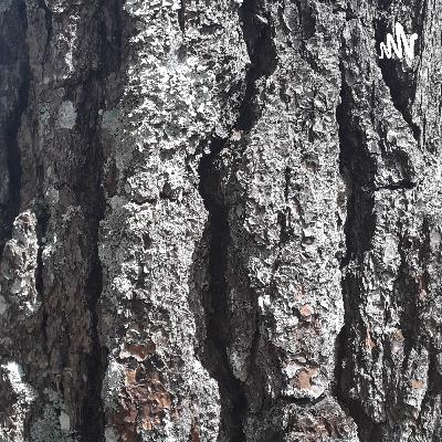 Diagnóstico de hab lectoras y redacción Angel