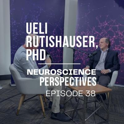 Neurons Don't Work Alone: What Neuroscientists Know About Memory Formation Neurons Don't Work Alone: What Neuroscientists Know About Memory Formation