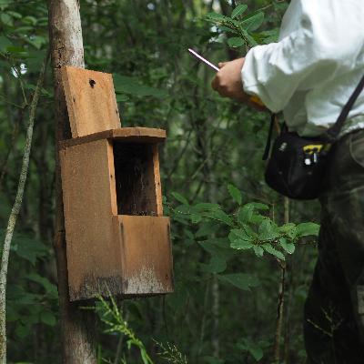 Aula 12 - Não basta criar, tem que conservar