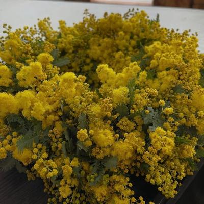 ミモザのリース