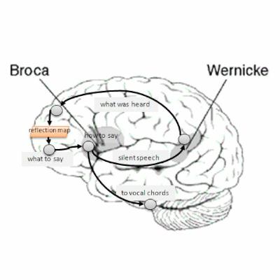 Binaural Voice First Broca-Wernicke Brain Stimulation Experiment
