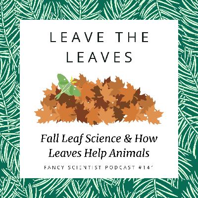 Leave the Leaves: Fall Leaf Science & How Leaves Help Animals | Wildlife Biology for Kids Club
