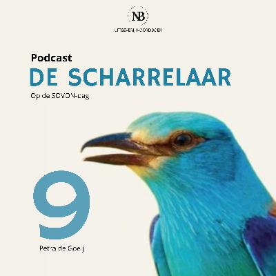 Petra de Goeij over lepelaar 'Sinagote'