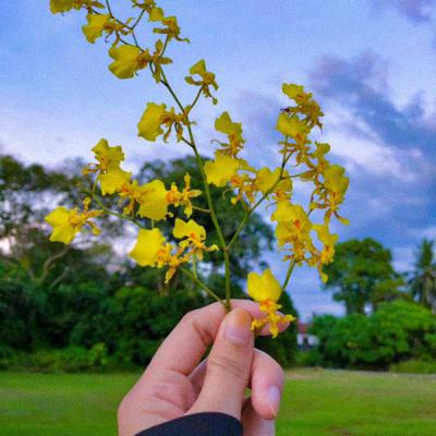 Self-love ❤️ -aisyah