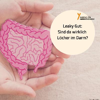 Leaky Gut - Sind da wirklich Löcher im Darm?