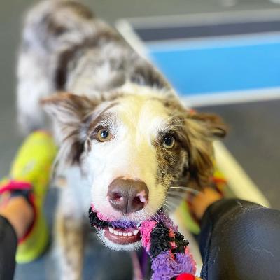 Episode 2 - Warm Up & Cool Down Routines