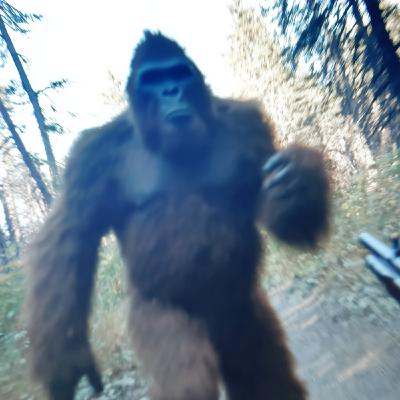 U.S Navy SEALS SPILLS the BEANS about CREATURES They KILLED In North Carolina Mountains